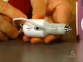Belkin TuneDok, TuneCast II, Auto Kit on Dotto Tech