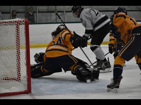 Jake Agoglia 18U AAA 2021/22 Full Season Highlights - .905 sv%  4.13GAA  including NAPHL and BEAST League action. Made 1096 saves on 1211 shots in 1392 mins.