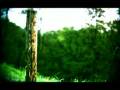 videos de Autumn
