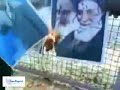 Iran Tehran khamenei Picture On Fire   خامنه اي قاتله ولايتش باطله