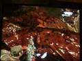 Gears Of War 2 Boss : RiftWorm