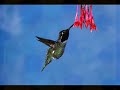 Nasheed Mix