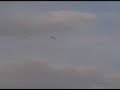 Petikko B-25 RC model wmv 15 MB