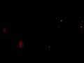 Fucking Bastards Dione en Tieum