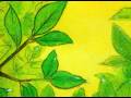 momonaki / 君さえいれば from LOCOMACK