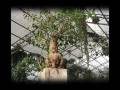 videos de (israel)Utopia 2008 - Robbie Williams,Supreme .wmv