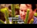 Video Institucional CVRD