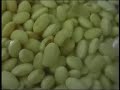 Con la soya deja de pasar Hambre