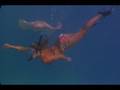 Drop Zone Tahiti Trailer
