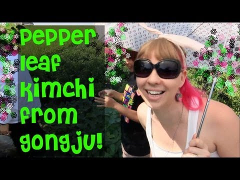 gochu - For more, go to http://www.eatyourkimchi.com/gongju-pepper-leaf-kimchi/ On Facebook: http://www.facebook.com/EatYourKimchiPage On Twitter: http://www.twitter...