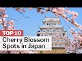 Tour Nhật Bản 4N4Đ: HCM - Chiba - Phú Sĩ - Tokyo - Biểu Diễn Cá Voi - Hái Trái Cây