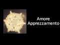 Masaru Emoto - Messaggi dell\