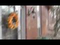 videos de The Scholarship Prize Patrol