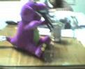 GUARANPIS -TINCHO PRODUCCIONES barney vs muñecote GUARANPIS -TINCHO PRODUCCIONES barney vs muñecote