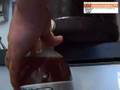Kombucha-Part-2