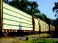 CSX D797-20 Hanover Subdivision or MMID?