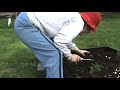 Planting Seeds in Planters
