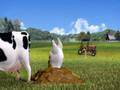 videos de Polar bear - I love Sky.flv