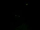 Aaron the Ghost\ Aaron the Ghost\