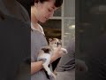 Awww So Cute ???? Lovely Pets #animals #music #pets #cute #compilation #shorts #14