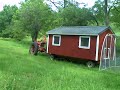 First move of the mobile chicken coop with Farmall H