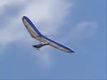 Canelinha/SC - Free Fly