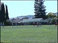 Fall U9 v SSJ Dakota