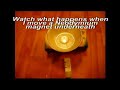 Magnet moves water (diamagnetism) Magnet moves water (diamagnetism)