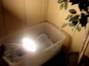 Updates [New snake] and moved enclosures!!!!