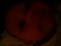 mi bb khris