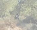a forces mil sim op fire storm airsoft alicante y albacete