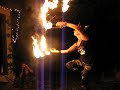 faerie willow with fire fans