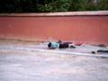 Prostrations