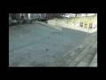 videos de ws37 Roncalli Mavo3D