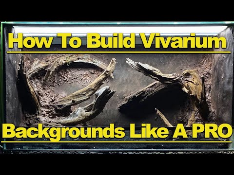YouTube reptile video