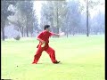 Hua Quan Double Daggers (Shuang Bi Shou)