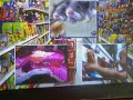 Zhu Zhu Robotic Hamsters Sell Out at Walmart, Target: Video