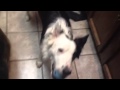 Motion and His Ball - YouTube
