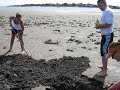 Clamming on long island with friends out of point lookout