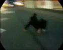 ollie