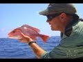 Destination Panhandle - RED SNAPPER fishing