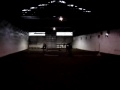 Daisy Cantering