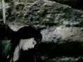 Christina-Aguilera-F