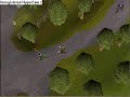 Jeanneau 12 gets 99 firemaking