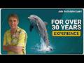 Swimming with the Dolphins Florida