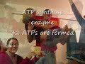 The Electron Transport Chain-Stepping Outside the Circle- Shadows Fall