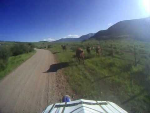 See video