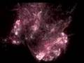 Moving Fractals