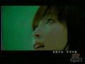 金莎 - 笨蛋