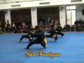 PESTA SILAT KESENIAN 2008 - PART 1